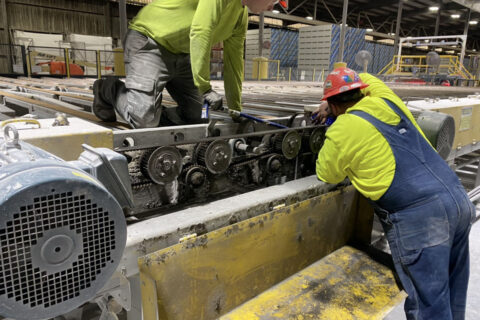 plant-preventative Plant Preventative